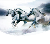 省内排行前十，，，，，，，，设计、施工实力排前